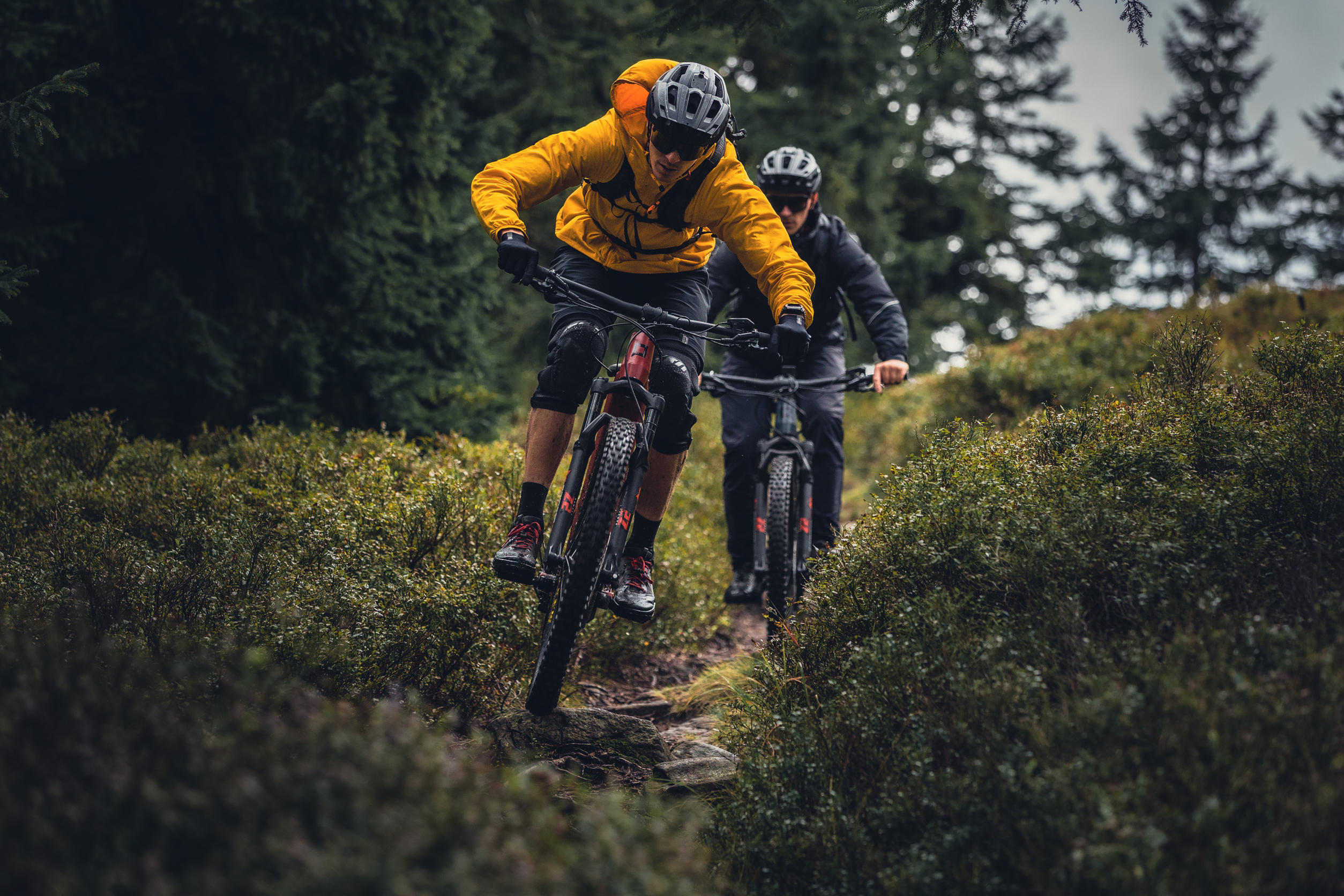 pells-stormer-fs-2-29-rhodonite_5_o