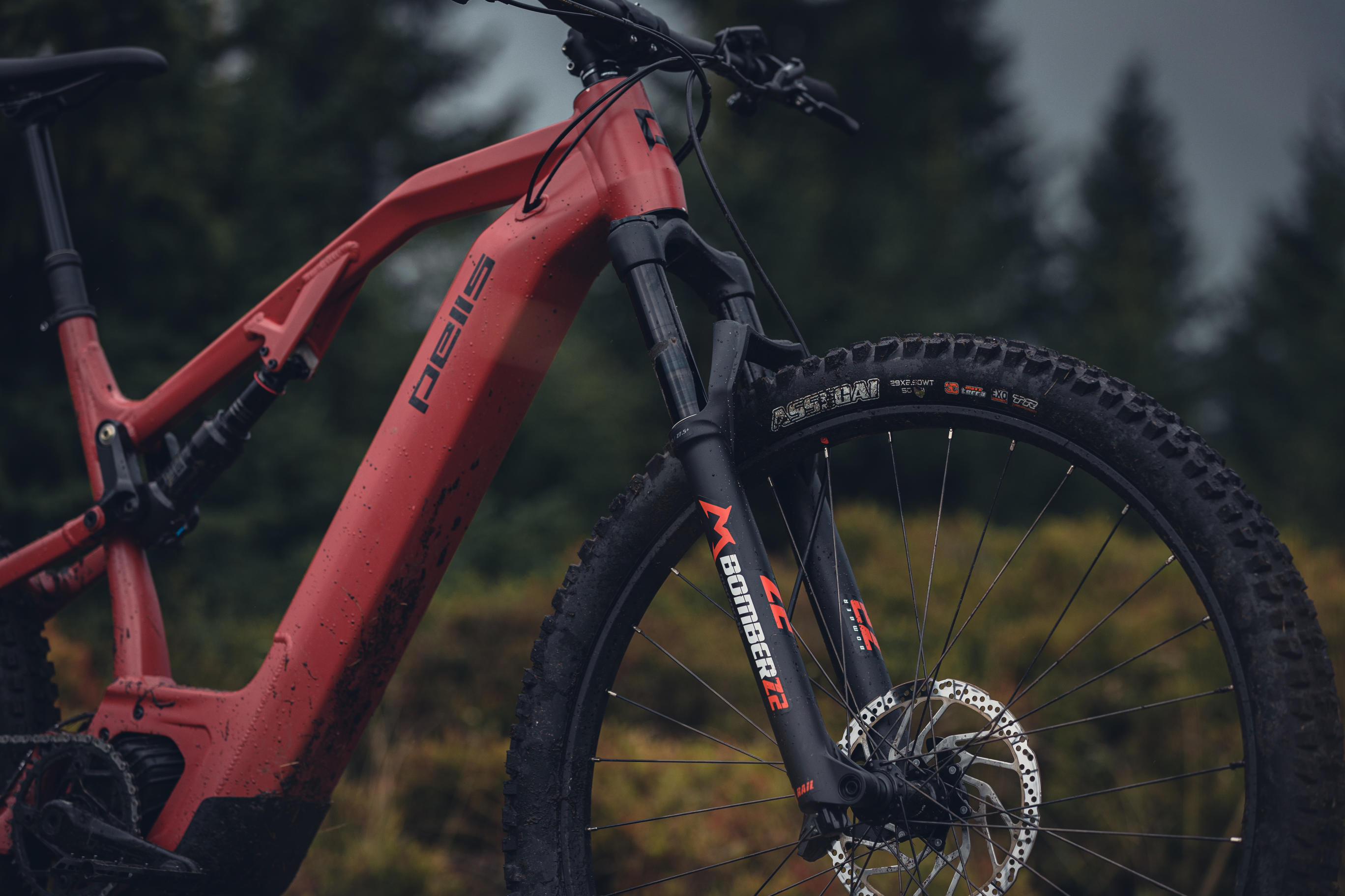 pells-stormer-fs-2-29-rhodonite_o