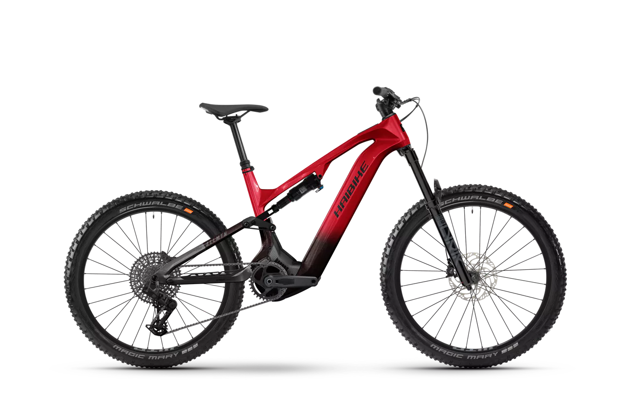 Haibike ALLMTN CF 9