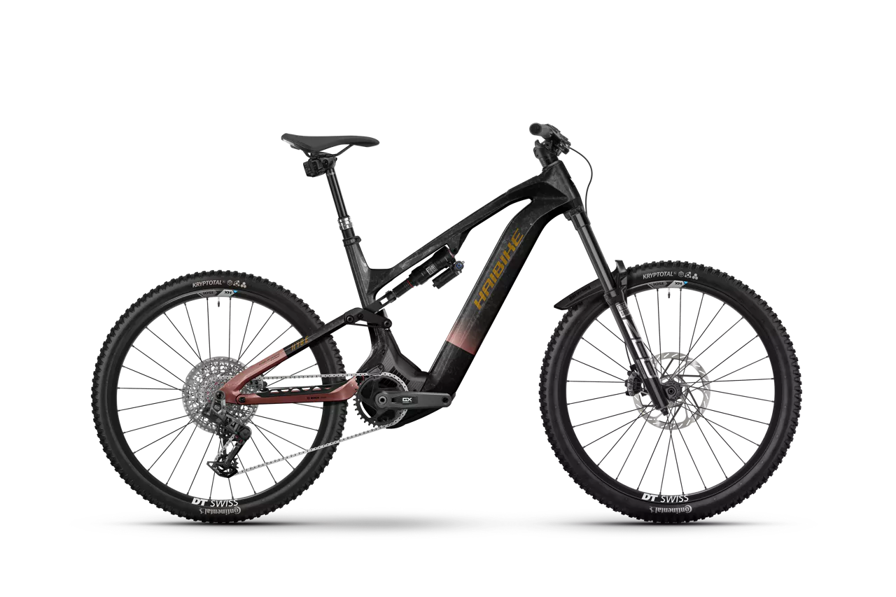 Haibike Hybe CF 11