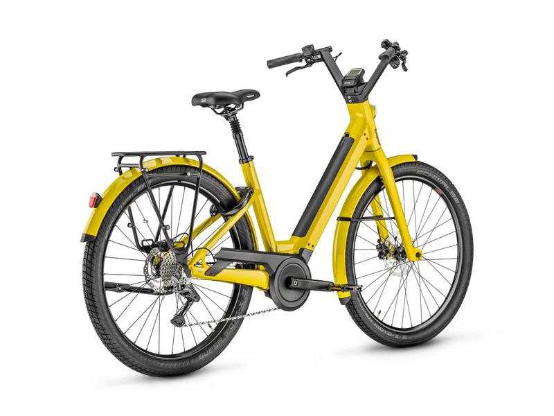 moustache-lundi-27-1-curry-brillant_o