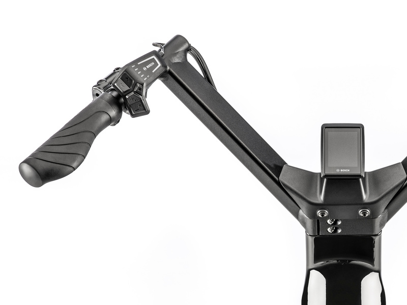 moustache-lundi-27-5-curry-brillant_3_o