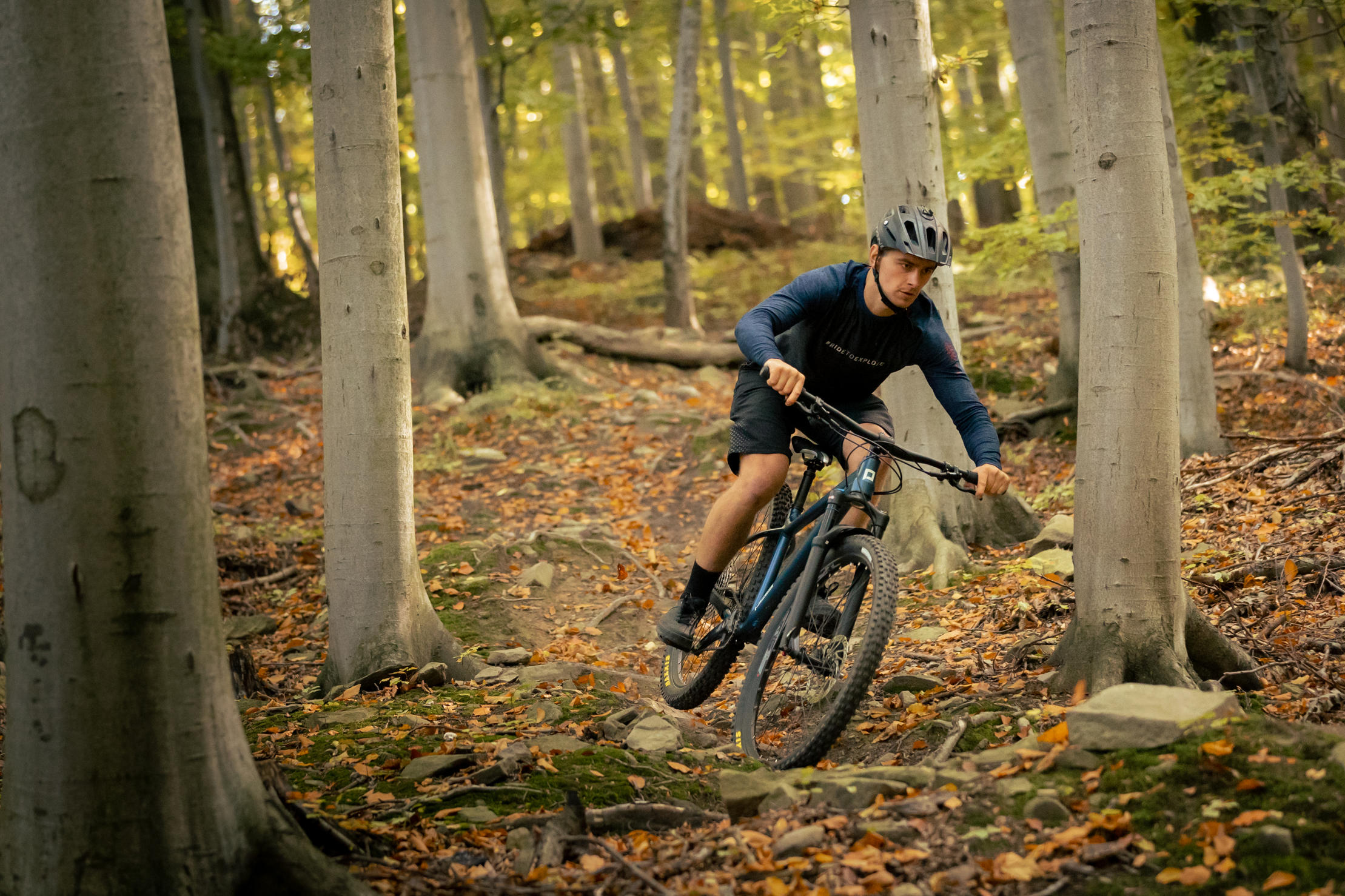 pells-root-1-29-grey_2_o