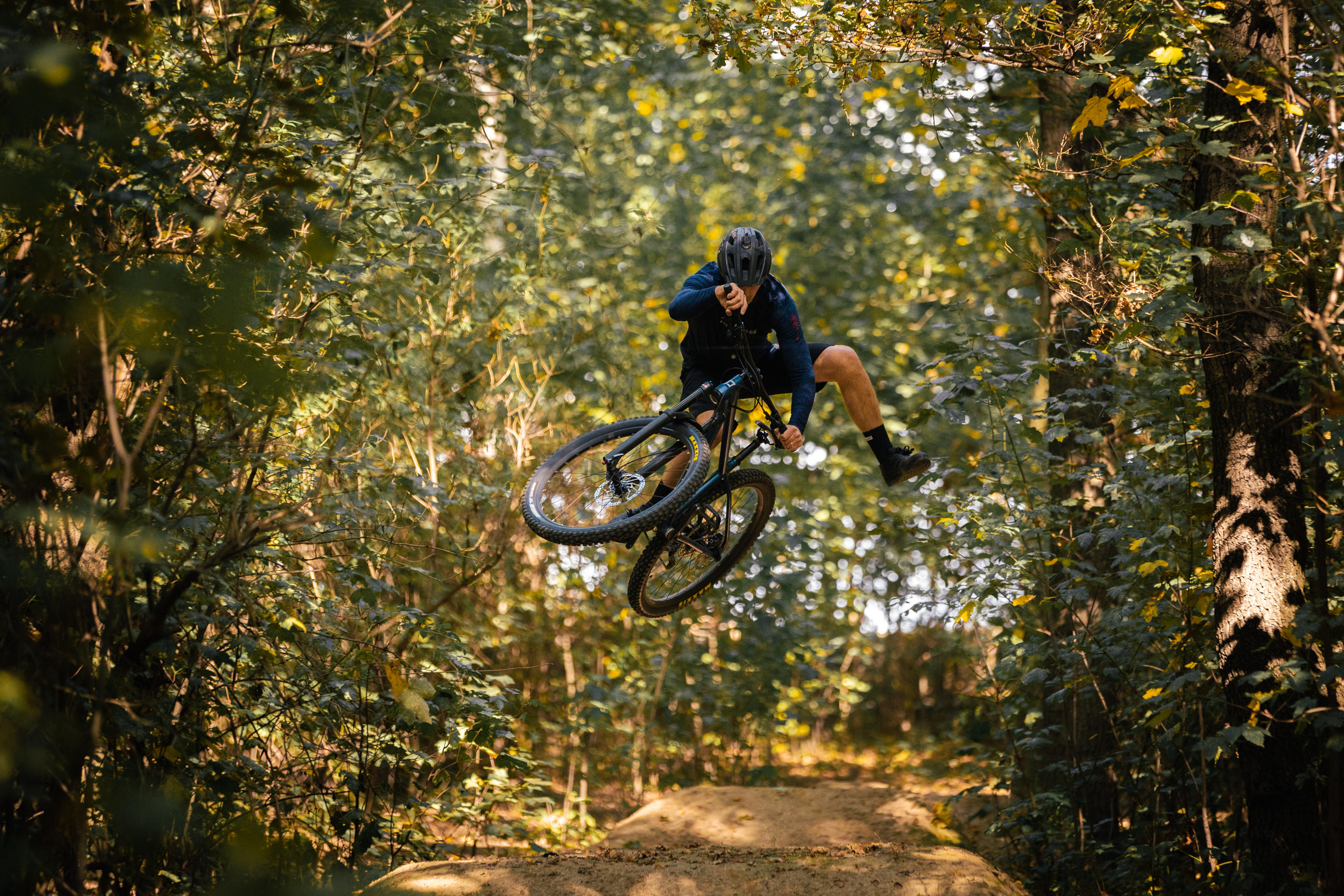 pells-root-1-29-grey_5_o